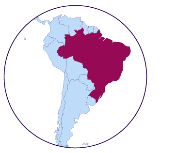 Icône de carte du Brésil
