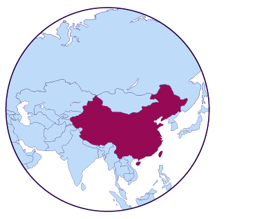Icône de carte de Chine