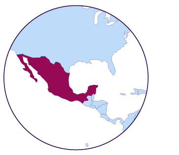 Icône de carte du Mexique