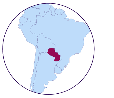 Icône de carte du Paraguay
