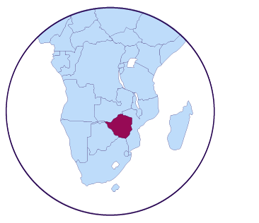 Icône de carte du Zimbabwe